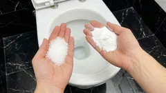 Salz und Natron in der Toilette: Warum Sanitärprofis das empfehlen und wofür es gut ist
