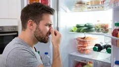 Der Kühlschrank riecht frisch – ganz ohne gekaufte Chemie: Eine gewöhnliche Schüssel hilft